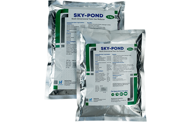 Sky Pond