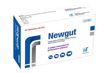 Newgut