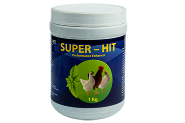 Super-Hit