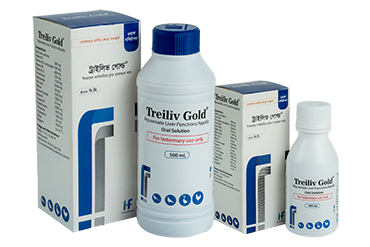 Treiliv Gold