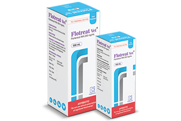 Flotreat Vet