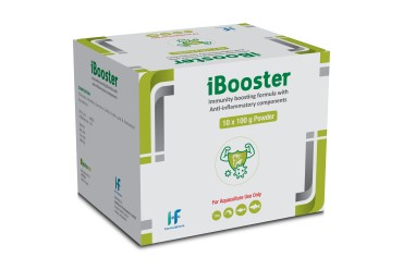 iBooster